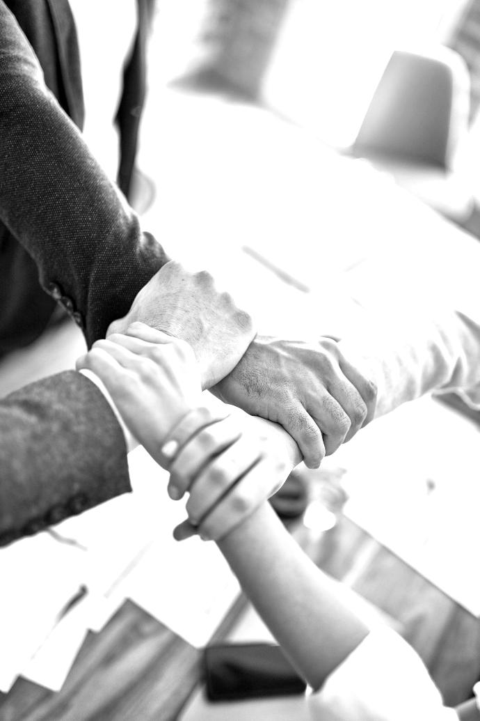 person in black long sleeve shirt holding persons hand